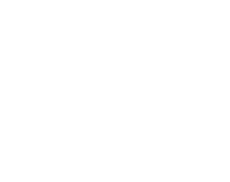 Northbourne Youth Initiative